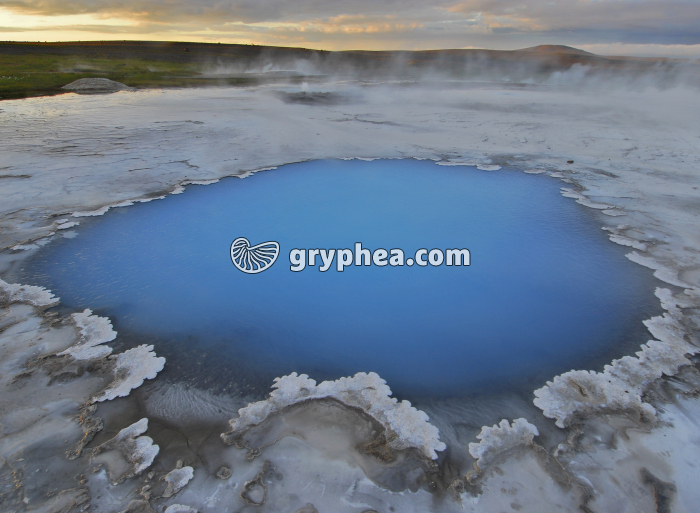 Source chaude Hveravellir (Islande) - gryphea.org